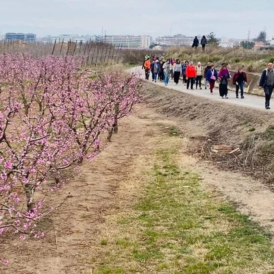 (imatge d'arxiu) El programa "Caminar és fer salut" inicia aquest mes d'octubre un nou cicle amb sis sortides per l'Horta de Lleida..