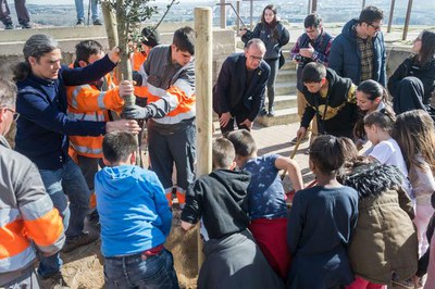 Els nens i nenes han participat en la plantació d'una alzina i dos xiprers al Turó de la Seu Vella..