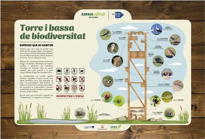 L'observació d'aus i de les diferents espècies que habiten les zones fluvials és una de les propostes del turisme a l'entorn dels rius..