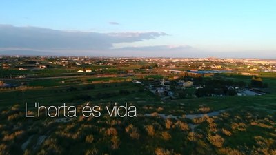 La Paeria edita unes píndoles audiovisuals per posar en valor els productes de l’Horta i els seus agricultors.