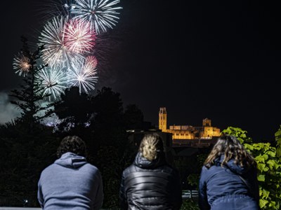 Enguany, el Castell de Focs s'ha pogut veure des de tots els punts de la ciutat.