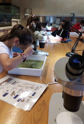 Lleida en Viu és el programa d’educació ambiental de l’Ajuntament.