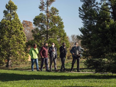 L'Arborètum, situat al carrer Enric Farreny, al barri de Ciutat Jardí, és un espai de 7 ha amb una àmplia col·lecció de plantes vives i arbustos..