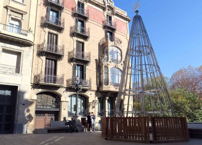 Els arbres fan 8 metres d'alçada i 4 de diàmetre.