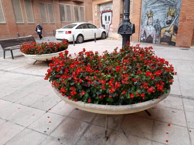 A Jaume I el conqueridor s'ha substituït les flors de temporada a causa d'un acte vandàlic.