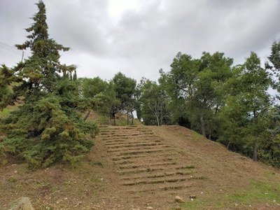 Les escales han aparegut en netejar i desbrossar la zona d'accés al turó.