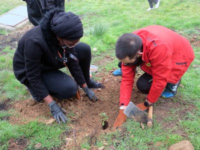 La regidora Mariama Sall també ha volgut plantar el seu exemplar.