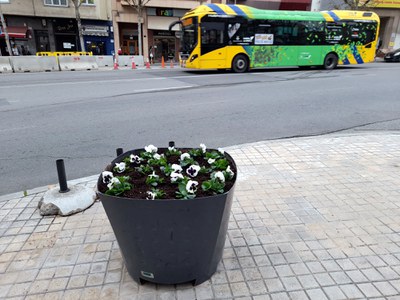 Una jardinera amb flors a l'avinguda Catalunya.