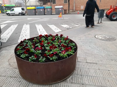 Una jardinera amb flors a l'avinguda d'Alacant.