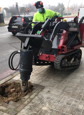 Durant dos setmanes s’estan fent treballs als escocells per condicionar-los per a la reposició de nous arbres.