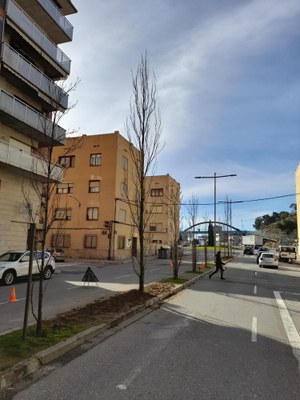 Tasques de plantació d'arbrat a l'avinguda de Madrid.