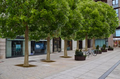 Projecte de plantació d'arbrat en un dels laterals de la plaça de Sant Joan..