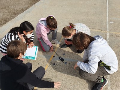 L'Agenda 21 aporta activitats per conscienciar els escolars de Lleida vers la protecció del medi ambient..