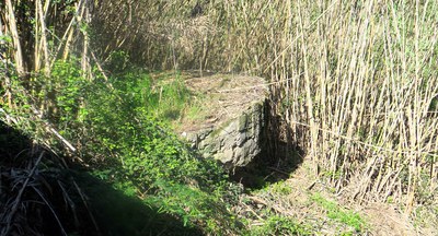 El búnquer està a la zona de la Mitjana i quedava mig ocult entre l'herbassar.