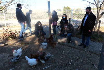 El contacte amb els animals és una oportunitat única.