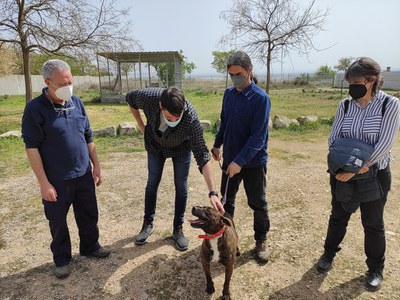 Visita al Centre d'Acollida d'Animals de Companyia (CAAC) de Lleida, aquest dimarts.