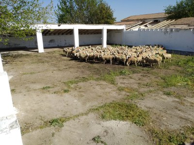 També s'ha habilitat una de les pletes de l'antiga granja militar de Rufea i una caseta per a l'ús del pastor.