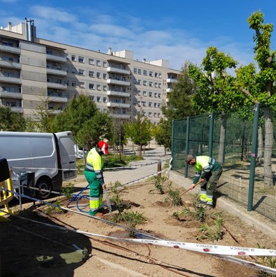 Operaris de jardineria treballant en aquesta actuació a l'entrada del centre.