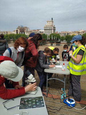 Al migdia, s'ha instal·lat unes taules amb lupes binoculars perquè els ciutadans poguessin observar les captures.