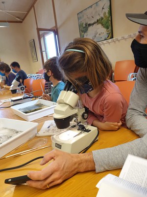 Taller per donar a conèixer la flora i la fauna dins la Marató de la Biodiversitat.