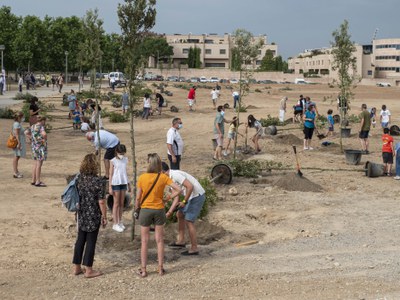 Avui s'han plantat un centenar d'alzines en aquest espai.