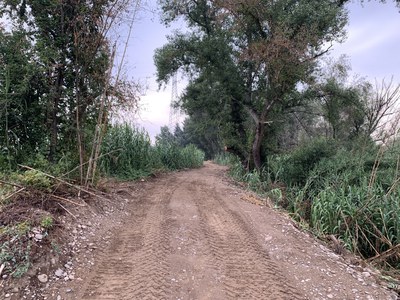 Un tram del camí que s'ha obert.