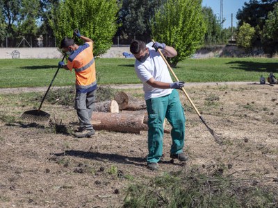 Dos treballadors ocupats en tasques de jardineria al parc.