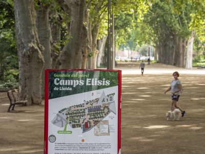 Els Camps Elisis és una de les àrees verdes considerades com a refugi climàtic a Lleida.