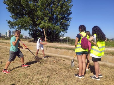 En el voluntariat d'estiu, els i les joves de Fet a JOVA han fet treballs per instal·lar les passarel·les, cedides per l'Ajuntament de Lleida.