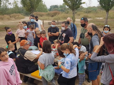 Un públic familiar s'ha atansat fins als Aiguamolls a descobrir els ocells del nostre hàbitat i presenciar el seu anellament.