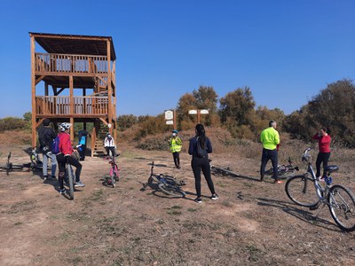 Els Aiguamolls de Rufea, un altre lloc per observar els ocells.