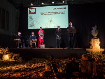 El Mercat del Pla s'ha habilitat com un camp de conreu literari.