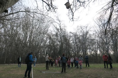 En la jornada de biodiversitat d'aquest diumenges, s'han netejat caixes de niu d’ocells que estan penjades al parc.