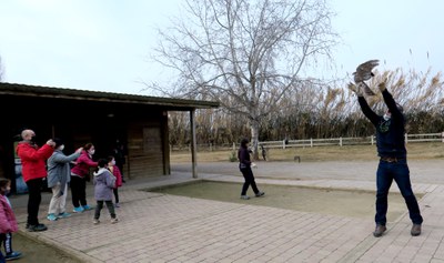 En la trobada del projecte +Biodiversitat d'aquest diumenge al parc de la Mitjana s'han alliberat dos astors, recuperats del Centre de Fauna Vallcale….