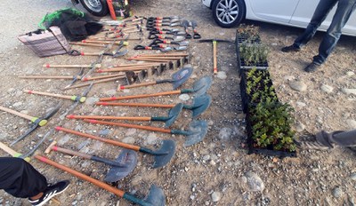 Osmon ha organitzat una plantada d’arbres al Turó de Gardeny aquest diumenge, amb la col·laboració de LleidaJove i la Universitat de Lleida.