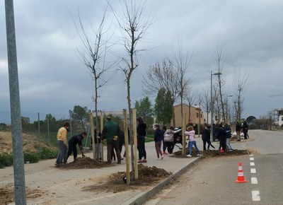 Alumnes de l'escola Ciutat Jardí plantant arbres al carrer Roure.
