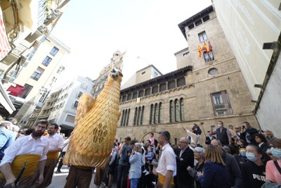 L'origen d'una àliga ja es poden trobar en diferents esdeveniments festius de Lleida dels segles XVI i XVII.