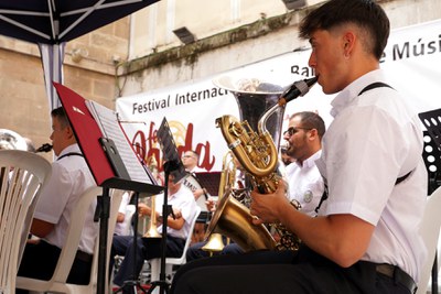 Un dels músics en ple concert.