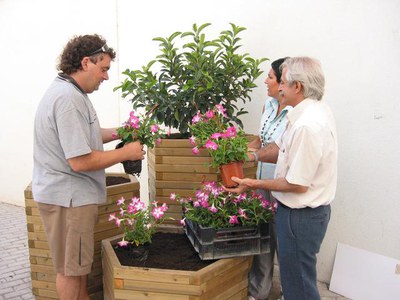 Presentació de les jardineres.