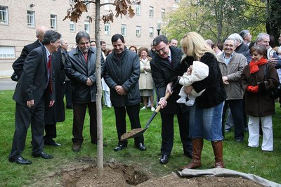 Amb motiu de l'aniversari, s'ha plantat un roure americà..