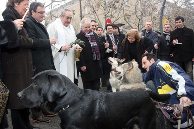 Els lleidatans també volen beneïr els animals de companyia.