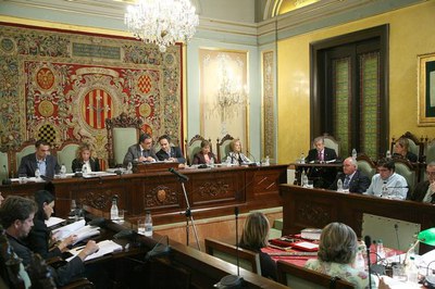 Imatge del ple en el qual el síndic de greuges ha presentat la memòria del 2006.