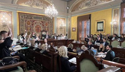 Moment d'una de les votacions del Ple de la Paeria d'aquest divendres..