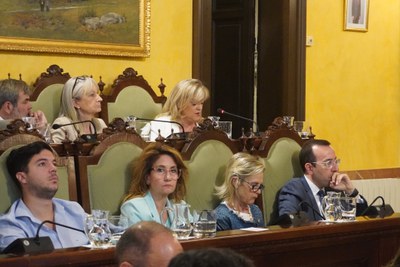 Per part de Junts per Catalunya Lleida - Compromís Municipal, ha participat en el debat d'avui la portaveu Violant Cervera..