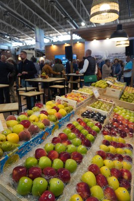 L'estand de la Paeria, dedicat a l'Horta de Lleida..