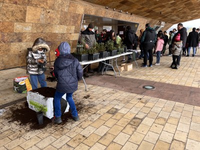 Previ als curts, l’ONG Osmon (Organització Social pel Món) ha ofert el taller “Replanta un arbre” a l’exterior de la Llotja.