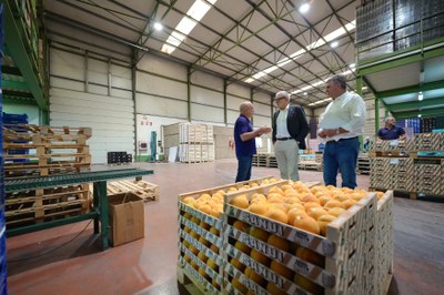 Un moment de la visita d'avui a Sanui Fruits.