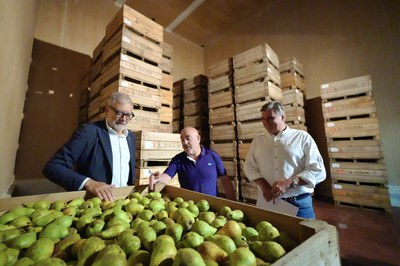 El gerent de la cooperativa, Carlos Valle, ha acompanyat l'alcalde en la seva visita.