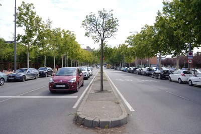 La Paeria licitarà les obres per a construir carril bici a l’avinguda Alcalde Rovira Roure, concretament en el tram situat entre el Passeig de l’Onze de Setembre i el Gran Passeig de Ronda, al barri Camp d'Esports.