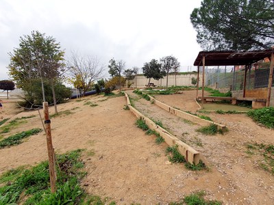 L'espai on es plantarà un bosquet a l'escola Països Catalans.